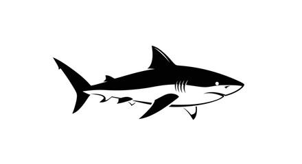 Fototapeta premium Black and white vector illustration of a great white shark isolated on a white background.