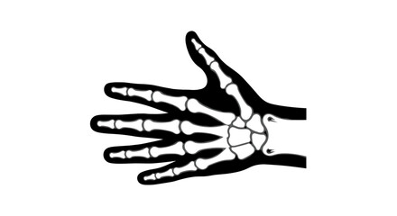 Hand XRay Illustration Skeletal Anatomy and Medical Imaging.