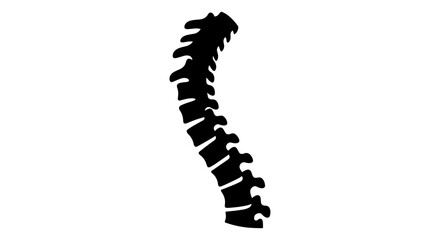 Human Spine Silhouette on White Background.
