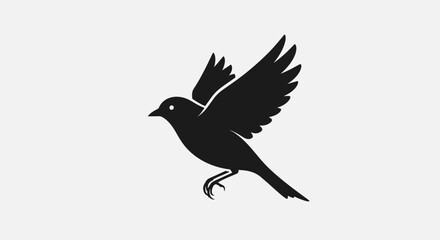 Silhouette of a Bird in Flight Against a White Background.