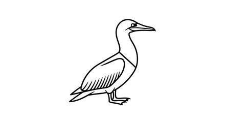 Fototapeta premium Simple Line Art Drawing of a Standing Cormorant Bird.