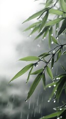 Raindrops falling on bamboo leaves with a foggy background creating a serene and natural atmosphere for peaceful scenes