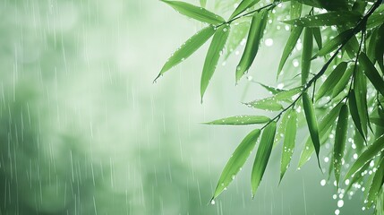 A rainy day with bamboo leaves and water droplets on a green background featuring a close up of raindrops falling from above with fresh spring colors