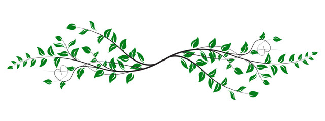 Green Leaf Vine Design  Elegant Nature Decoration Element