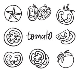 Hand Drawn Vector Sketch Set of Fresh Tomato Fruit and Vegetable Slices