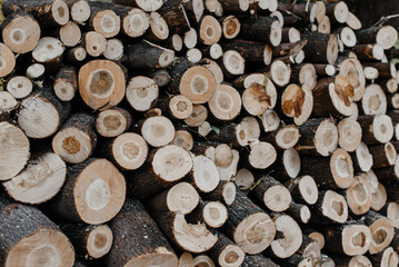 Fototapeta premium large pile of stacked woods for heating, background, pattern