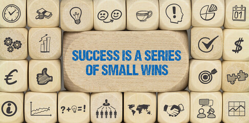 Success is a series of small wins	
