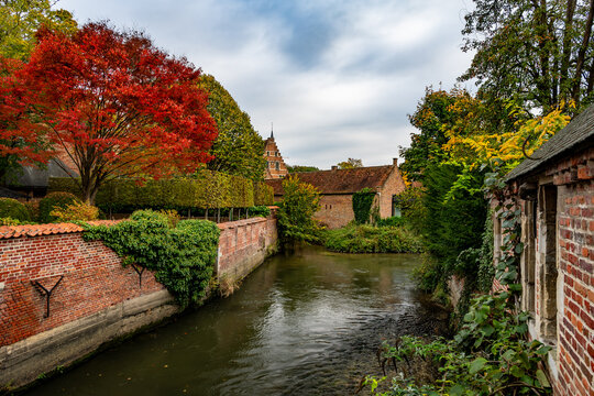 Autumn colors in Groot Begijnhof Leuven