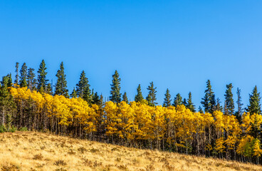 Scenic fall foliage landscape alongside the Highway of Legends National Scenic Byway, going from...