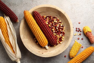 Red and yellow corn cobs with kernels in bowl on gray textured table, flat lay
