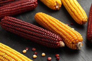 Red and yellow corn cobs on dark textured table, closeup