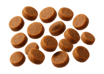 Small, round dog training treats perfect for rewarding pets at home.