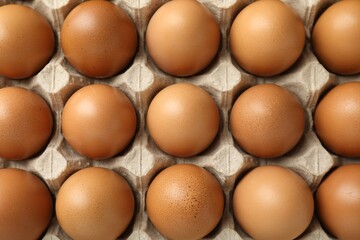 Raw chicken eggs in egg carton as background, top view