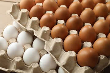 Different raw chicken eggs in egg cartons on table, closeup
