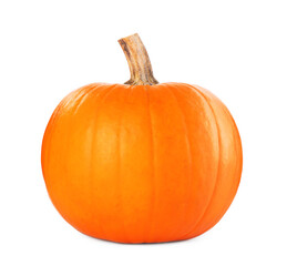 One whole ripe pumpkin isolated on white
