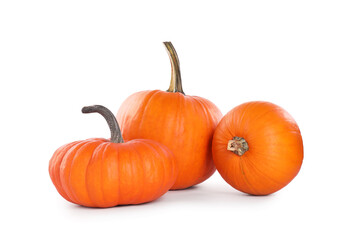 Different whole ripe pumpkins isolated on white