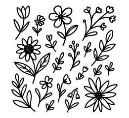 Fototapeta premium Hand drawn floral doodle vector set outline botanical illustration on transparent background