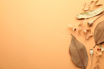 Dry autumn leaves, poppy heads and red berries on pale orange background, flat lay. Space for text