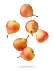 Many fresh pears falling on white background