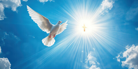 A white dove flying in the sky with a sun shining on it