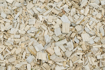top down full frame texture of pale beige and white wood chips creating a dense pattern for an organic background concept of gardening mulch, playground surface, natural material design