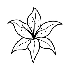 cute lily with dotted petals