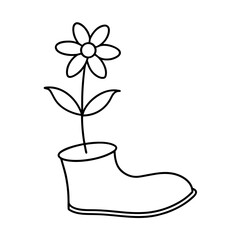 flower growing in a shoe pot 