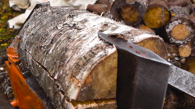Close up view of a birch tree timber firewood log being split into pieces or in half by a wood splitting or splitter machine in slow motion at an autumn day time garden or yard.