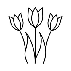 vector illustration of a tulip