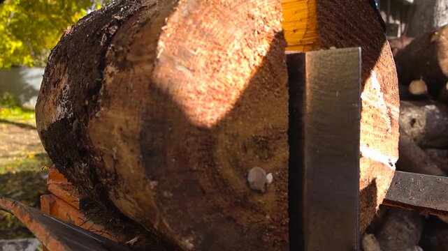 Detailed close up of a large pine freshly cut wood timber log being split in half by a wood splitter machine at a sunny autumn day, with shallow depth of field, bokeh blurry background. Slow motion.