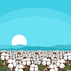 A vast field of fluffy white cotton bolls under a clear bright blue sky. Themes related to organic products, textiles, agriculture and natural beauty. World cotton day on October 7th
