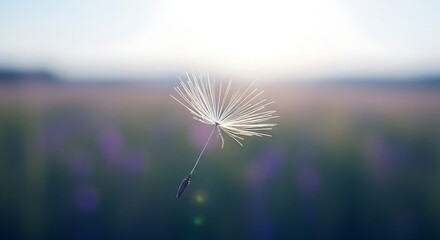 Close-up shot of a single metal whisk for cooking and baking kitchen utensil
