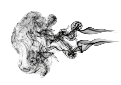Swirling black smoke, intricate organic abstract patterns and fluid flows, varying opacities, as a standalone object on a transparent background with copy space, clean artistry concept