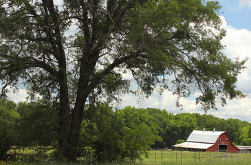 Red Barn located on Farm in East Texas with Blue Sky, Overton TX