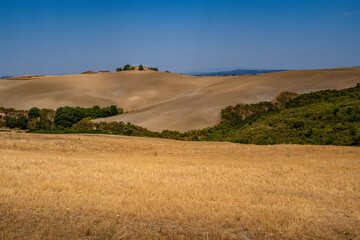 Golden Fields and Rolling Hills under Clear Blue Sky