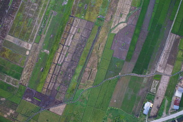 Fototapeta premium Aerial view of flooded rice fields, irrigation canals, and expanding urban settlements in Sungai Penuh, Jambi, Indonesia. Showing urban sprawl, farmland conversion, and environmental landscape.