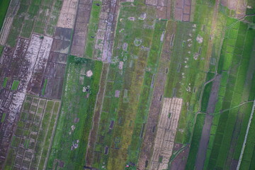 Fototapeta premium Aerial view of flooded rice fields, irrigation canals, and expanding urban settlements in Sungai Penuh, Jambi, Indonesia. Showing urban sprawl, farmland conversion, and environmental landscape.