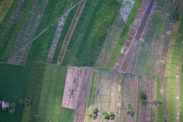 Fototapeta premium Aerial view of flooded rice fields, irrigation canals, and expanding urban settlements in Sungai Penuh, Jambi, Indonesia. Showing urban sprawl, farmland conversion, and environmental landscape.