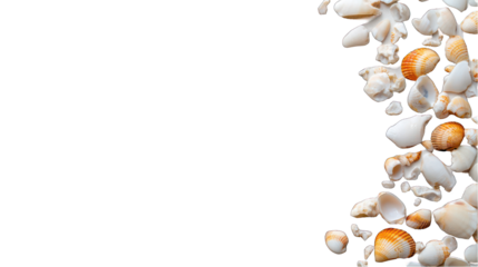 Seashells and coral collection with transparent background