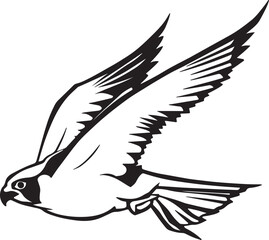 Obraz premium Black and white illustration of a swift falcon in flight with wings extended and tail feathers fanned