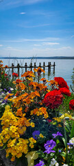 The view of the idyllic Lake Constance from the bloom shore. Wooden bridge on the lake. Nussdorf on Lake Constance.