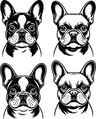 Collection of adorable French bulldog portraits in black and white design
