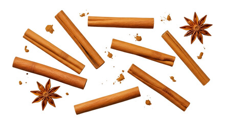 Cinnamon Sticks and Star Anise on Black Background