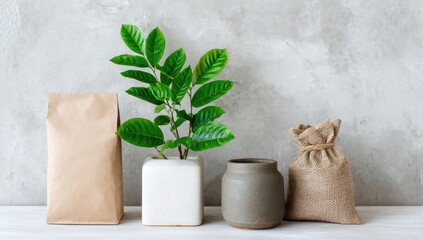 Natural packaging and decorative elements styled against a textured backdrop, highlighting a neutral and minimalist aesthetic.