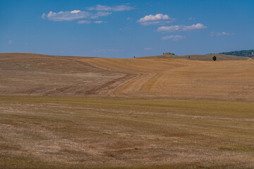 Obraz premium Tuscan Dry Fields under Summer Sky
