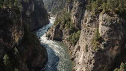Obraz premium River carves through rugged, steep canyon walls, with trees clinging to the rock face