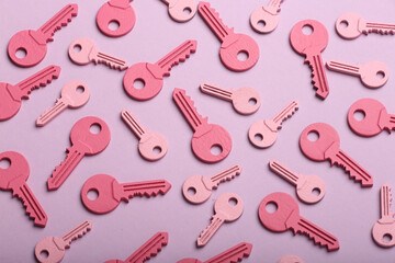 check-lock and different keys on a coloured background, the concept of protection