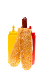 French hot dog with ketchup and mustard