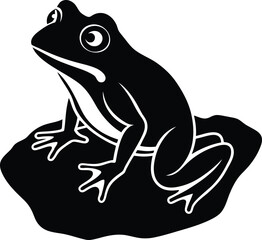 Close up macro shot of water droplets on a leaf revealing intricate details and nature's beauty isolated on transparent background