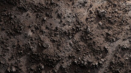 Earthy Texture: A close-up view unveils the intricate textures of the earth's surface, revealing a tapestry of rugged terrain and natural beauty. This photograph captures the raw.